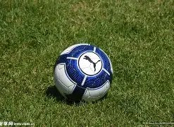 边后卫中的,防守明星,奥赖利力挽,征途国际平台,征途国际电子,征途国际电子官网,征途国际电子登录入口,征途国际官方网站